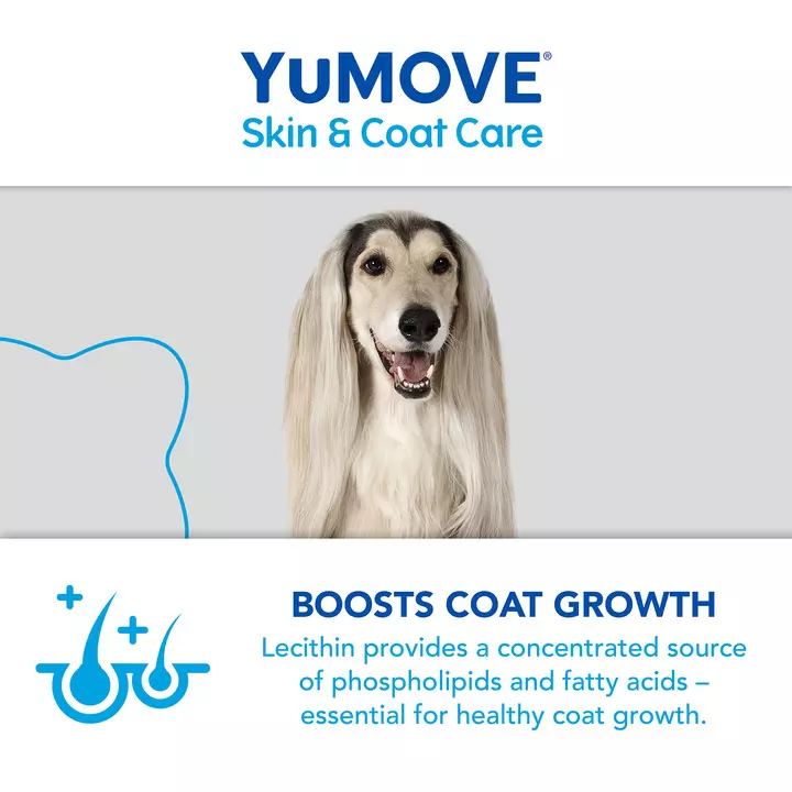 YuMOVE Skin & Coat Care Boost 8 YuMOVE Skin & Coat Care Boost - Image 6