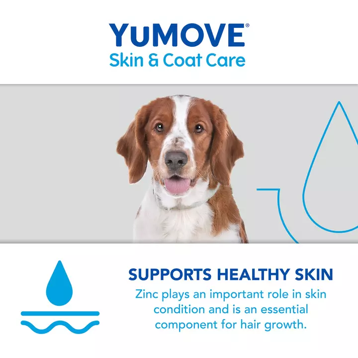 YuMOVE Skin & Coat Care Boost 9 YuMOVE Skin & Coat Care Boost - Image 7