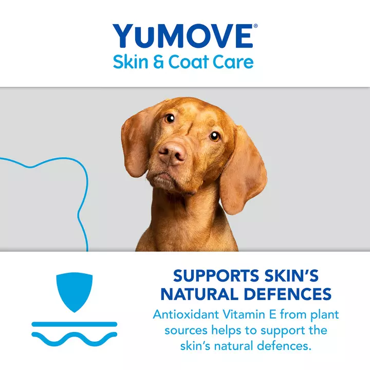YuMOVE Skin & Coat Care Itching For Adult Dogs 10 YuMOVE Skin & Coat Care Itching For Adult Dogs - Image 8