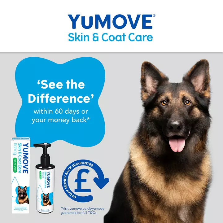 YuMOVE Skin & Coat Care Itching For Adult Dogs 7 YuMOVE Skin & Coat Care Itching For Adult Dogs - Image 5
