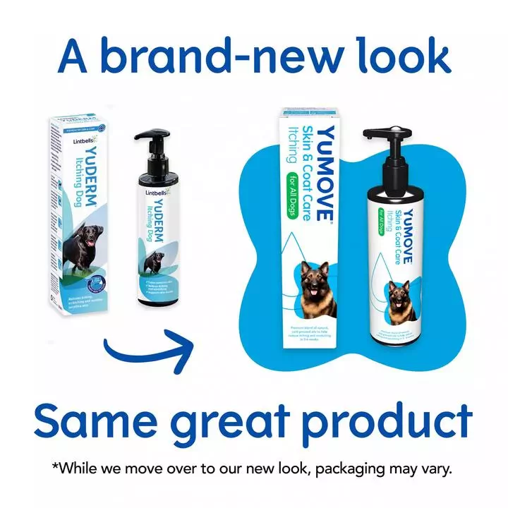 YuMOVE Skin & Coat Care Itching For Adult Dogs 4 YuMOVE Skin & Coat Care Itching For Adult Dogs - Image 2
