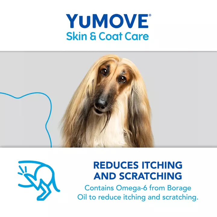 YuMOVE Skin & Coat Care Itching For Adult Dogs 8 YuMOVE Skin & Coat Care Itching For Adult Dogs - Image 6