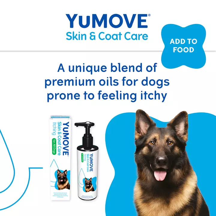 YuMOVE Skin & Coat Care Itching For Adult Dogs 5 YuMOVE Skin & Coat Care Itching For Adult Dogs - Image 3