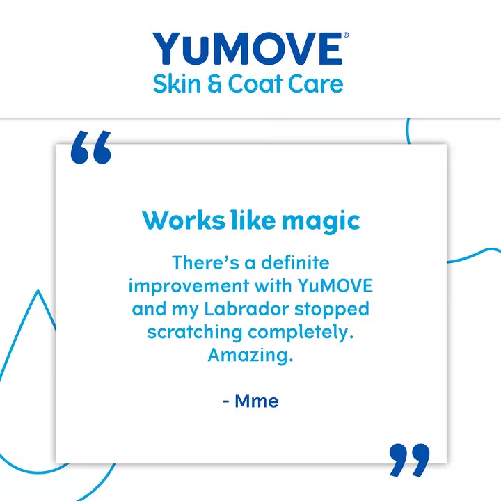 YuMOVE Skin & Coat Care Itching For Adult Dogs 6 YuMOVE Skin & Coat Care Itching For Adult Dogs - Image 4
