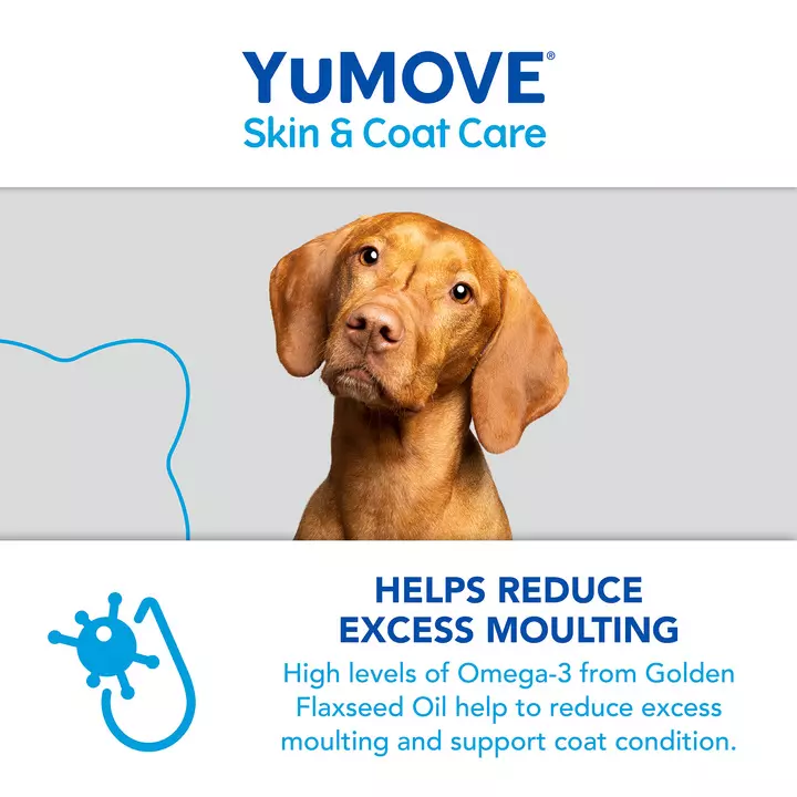 YuMOVE Skin & Coat Care Moulting For Adult Dogs 8 YuMOVE Skin & Coat Care Moulting For Adult Dogs - Image 6