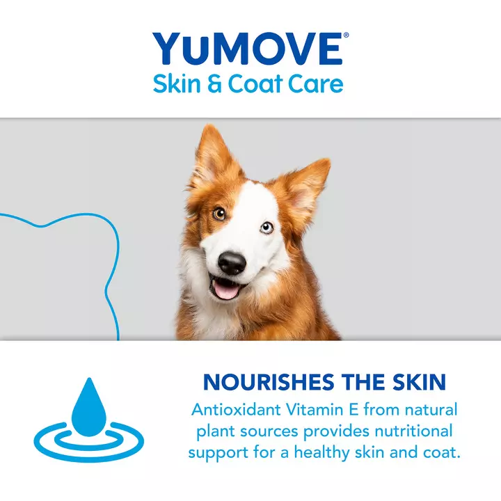 YuMOVE Skin & Coat Care Moulting For Adult Dogs 10 YuMOVE Skin & Coat Care Moulting For Adult Dogs - Image 8