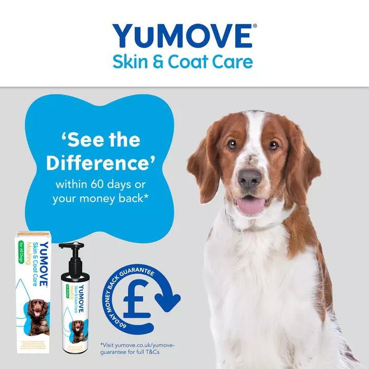 YuMOVE Skin & Coat Care Moulting For Adult Dogs 7 YuMOVE Skin & Coat Care Moulting For Adult Dogs - Image 5