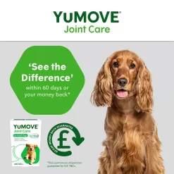YuMOVE Joint Care For Adult Dogs 15 YuMOVE Joint Care For Adult Dogs -Dog Supply Shop yumove vh12.jpg