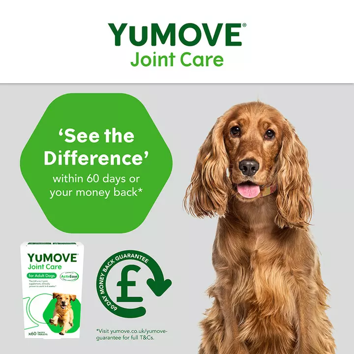 YuMOVE Joint Care For Adult Dogs 7 YuMOVE Joint Care For Adult Dogs - Image 5