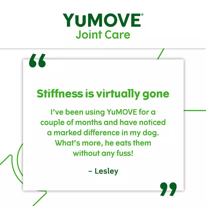YuMOVE Joint Care For Adult Dogs 6 YuMOVE Joint Care For Adult Dogs - Image 4
