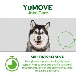 YuMOVE Working Dog Essential Joint Support -Dog Supply Shop yumove working dog essential joint support vl0p.jpg