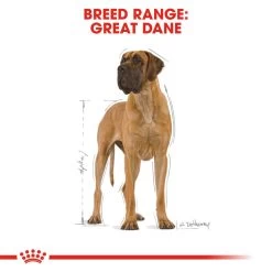 ROYAL CANIN® Great Dane Adult Dry Dog Food 12 ROYAL CANIN® Great Dane Adult Dry Dog Food -Dog Supply Shop zrv25m9gksgvpjcfw8d1