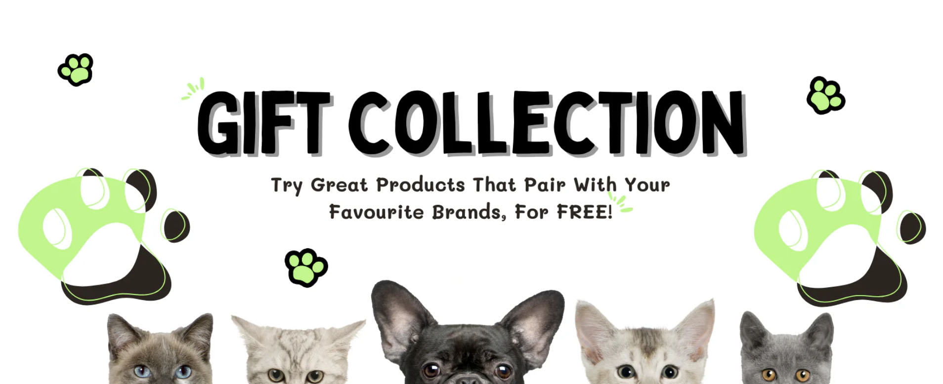 Dog Supply Shop -Dog Supply Shop 5